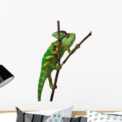 Chameleon Wall Decal shown on a wall