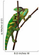 Chameleon Wall Decal