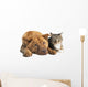 Dog and Cat Together