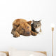 Dog and Cat Together