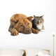 Dog and Cat Together