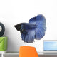 Blue Siamese fish Wall Decal