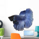 Blue Siamese fish Wall Decal