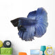 Blue Siamese fish Wall Decal