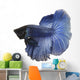 Blue Siamese fish Wall Decal