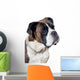Boxer dog portrait Wall Mural