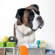 Boxer dog portrait Wall Mural