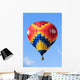 Hot Air Balloon