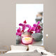 Balancespa Textfreiraum