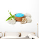 Spa Concept