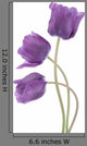 Tulip Wall Decal