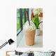Iced Coffee Cafe