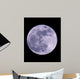 Full Moon Wall Mural