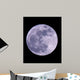 Full Moon Wall Mural