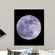 Full Moon Wall Mural
