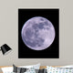 Full Moon Wall Mural