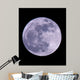 Full Moon Wall Mural