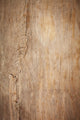 Old Wood