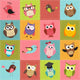Patchwork with Owls