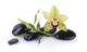 Black pebble and orchid Wall Decal