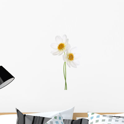 Dahlia Wall Decal shown on a wall