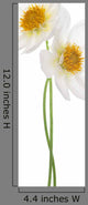 Dahlia Wall Decal