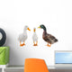 Three Duck Wall Mural