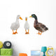 Three Duck Wall Mural