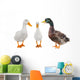 Three Duck Wall Mural