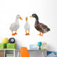Three Duck Wall Mural
