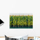 Tall Row Field Corn