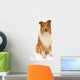 Rough Collie Dog