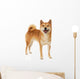 Shiba Inu dog Wall Decal