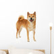 Shiba Inu dog Wall Decal
