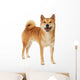 Shiba Inu dog Wall Decal