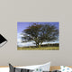 Countryside Wall Mural