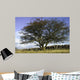 Countryside Wall Mural