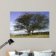 Countryside Wall Mural