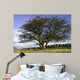 Countryside Wall Mural