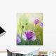 Poppies Morning Oil Painting