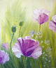 Poppies Morning Oil Painting