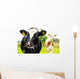 Young Curious Calfs Green