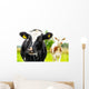 Young Curious Calfs Green