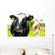 Young Curious Calfs Green