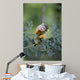 Common Squirrel Monkey Wall Mural