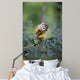Common Squirrel Monkey Wall Mural