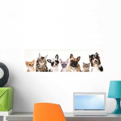 Cat and Dog Medium Wall Decal shown on a wall