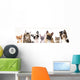 Cat and dog, medium group of animals Wall Decal