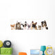 Cat and dog, medium group of animals Wall Decal