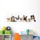 Cat and dog, medium group of animals Wall Decal
